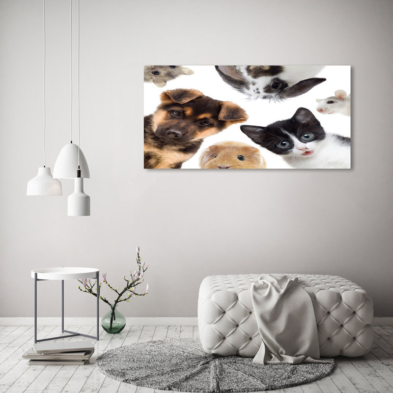 Pets - Wrapped Canvas Print