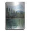«Forest Landscape I» par Petals Prints Design, art mural en métal-1089475116