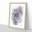 The Pale Purple Rose - Picture Frame Painting Print-56855380-56855384