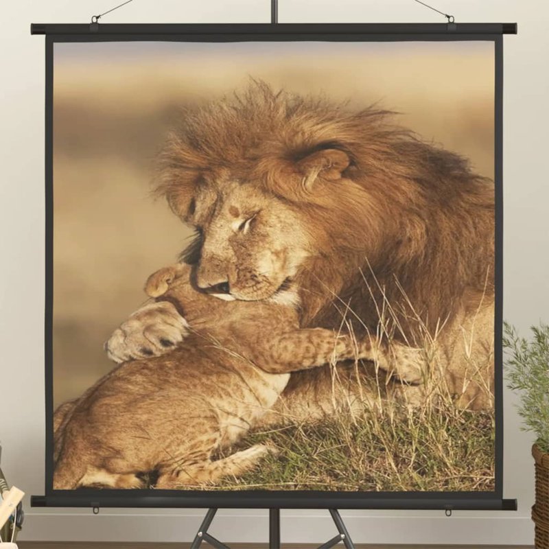 Artun White Manual Projection Screen, Square/AV (1:1), 140cm H x 135cm W