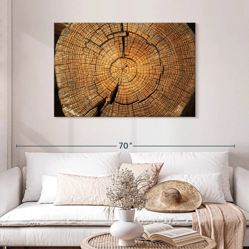 Anneaux de souche d'arbre