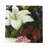 Guerlin Splender Cotton Sateen Cocktail Napkins