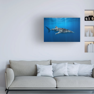Contemporary