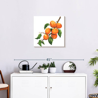 Yarlin Ripe Apricots