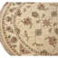 Hand Knotted Area Rug in Ivory