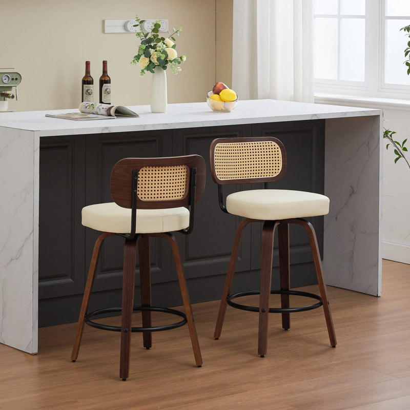 Contemporary Leisure Barstools