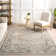 Cady SpinClean Machine Washable Transitional Area Rug