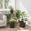 Plant Stand-1803368982-1803368984
