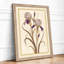 Iris Study Botanical - Framed Print-1098185003-1098185006