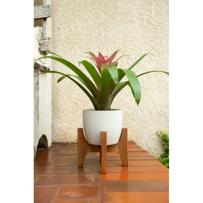 Brightling Handmade Ceramic Pot Planter