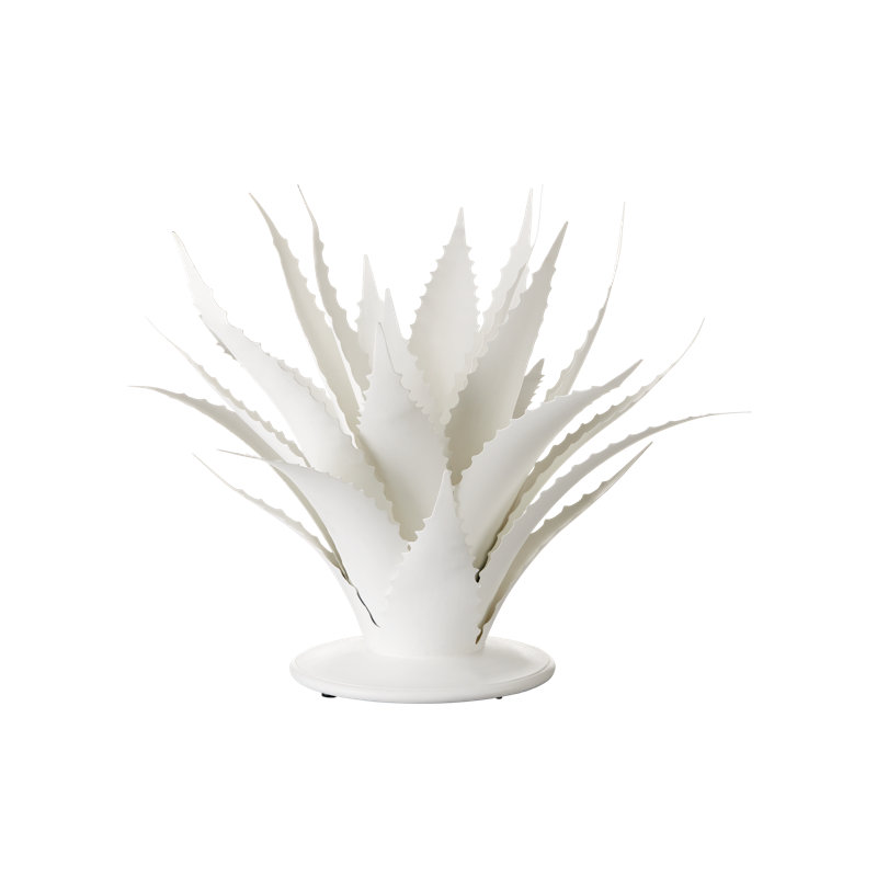 Agave, objet