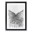 Sketching the Architecture Vol.61 - Picture Frame Drawing Print-55733192-55733197