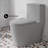 Dreux One Piece Elongated Dual Flush Toilet in Matte Gray 0.95/1.26 GPF-103569392-121350100-121350103