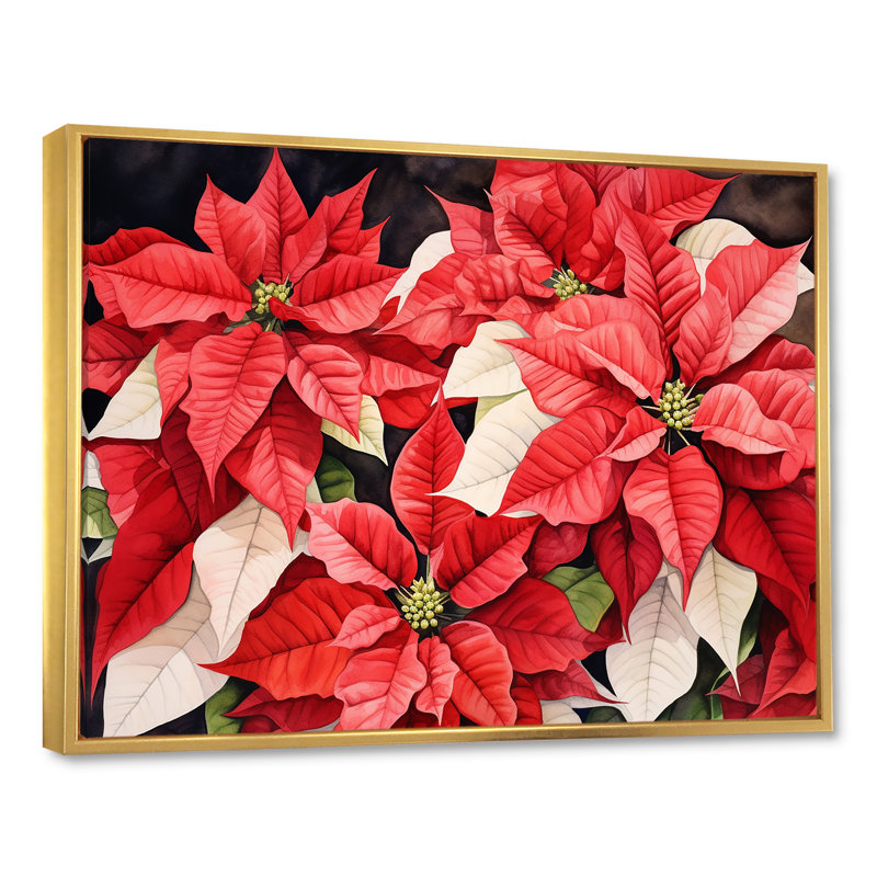 Poinsettias, minimalisme, rêve, Cadre flottant doré, H 16 po x l 32 po