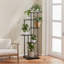 Plant Stand - Set of 2-1723488255