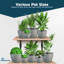 Pots à fleurs avec trous de drainage - Pots légers, durables et peu encombrants pour l'intérieur et l'extérieur - Fonctionnalité polyvalente, conception moderne simple, ensemble de 15 pots à fleurs en plastique-317048028