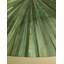 Table basse Verdure
