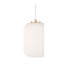 Aaronsburg 1 - Light Single Pendant