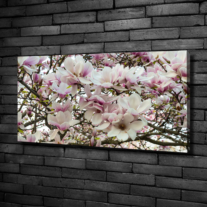 Magnolia Flowers - Wrapped Canvas Print, Canvas, 50cm H x 100cm W