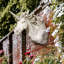 Sculpture murale licorne Alicorn