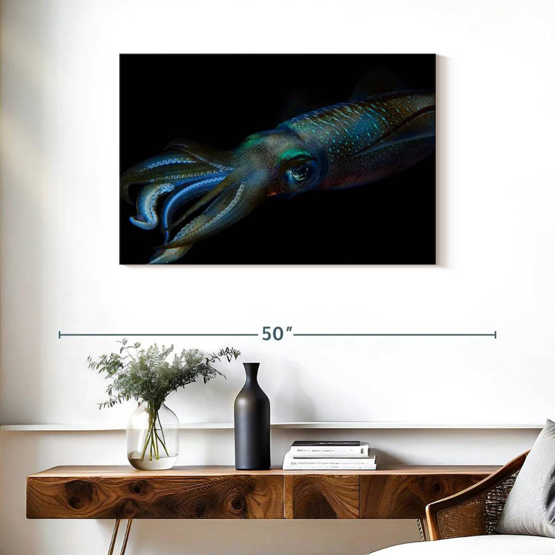 Bigfin Reef Squid, 24" H x 36" W