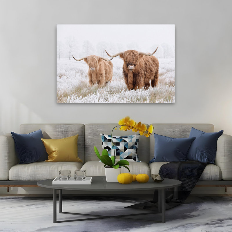 Springfield - Photographie, animaux, faune, vaches, art, H 40 po x l 60 po