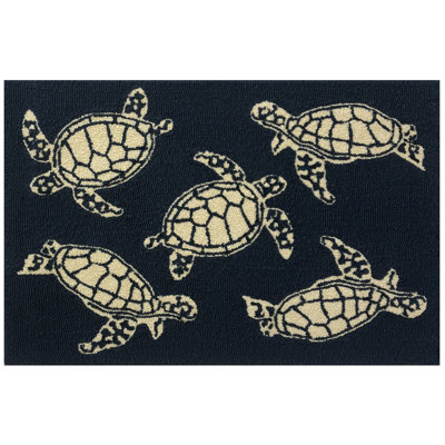 Multicolore tortue Indigo_26482