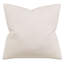 Clearview Square Pillow Cover & Insert-119157135-119157132
