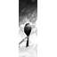 Four Birds Perched - Monochrome Framed Print for Home Decor