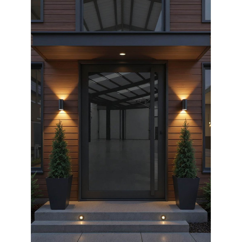 Black Opal Pivot Door 