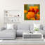California Golden Poppies Eschscholzia californica and Corn Poppies Papaver rhoeas in a field Fidalgo Island Washington State USA 1 Piece Wrapped Canvas Wall Art-759940245
