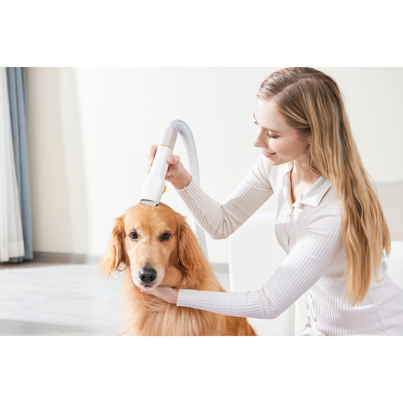 Trousse d'aspirateur pour chien Palfur