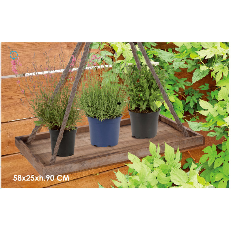 Brigman Wood Saucer Plant Stand, 90cm H x 58cm W x 25cm D