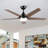 Modern 48''/56'' 5-Blade LED Standard Indoor Ceiling Fan with Remote Control and Light Kit Included-452111350-452111344
