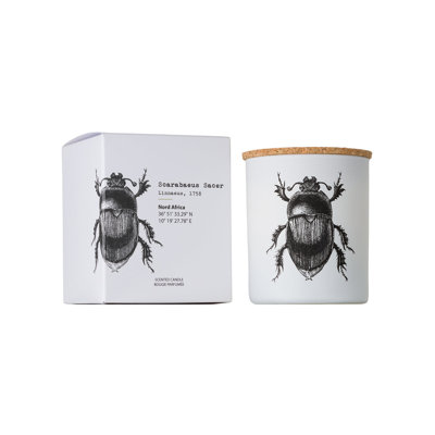 Candle in Jar INSECT SCARABEUS SACER 3.35 diam. x 4.13 in
