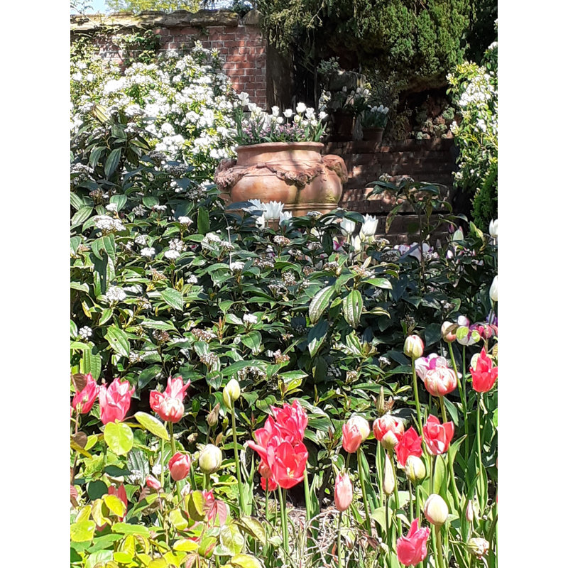 Crescio Handmade Urn Planter, Terracotta