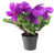 Mauve est en rupture de stock