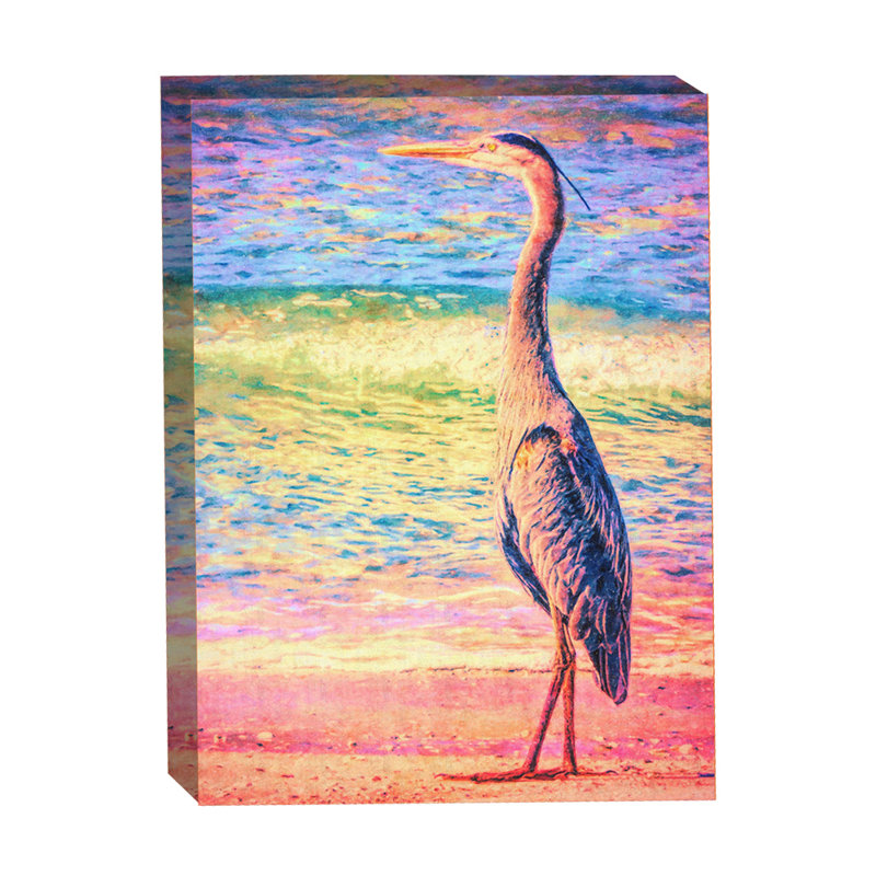 «No Egrets» par Grotto Studios