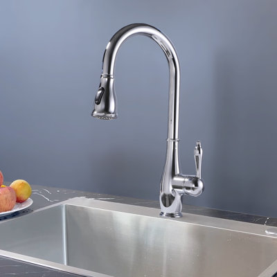Robinet de cuisine à une poignée et douchette rétractable en chrome