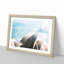 Sydney Opera House in Australia 1 Piece Single Picture Frame Painting on MDF-56712618-56712622