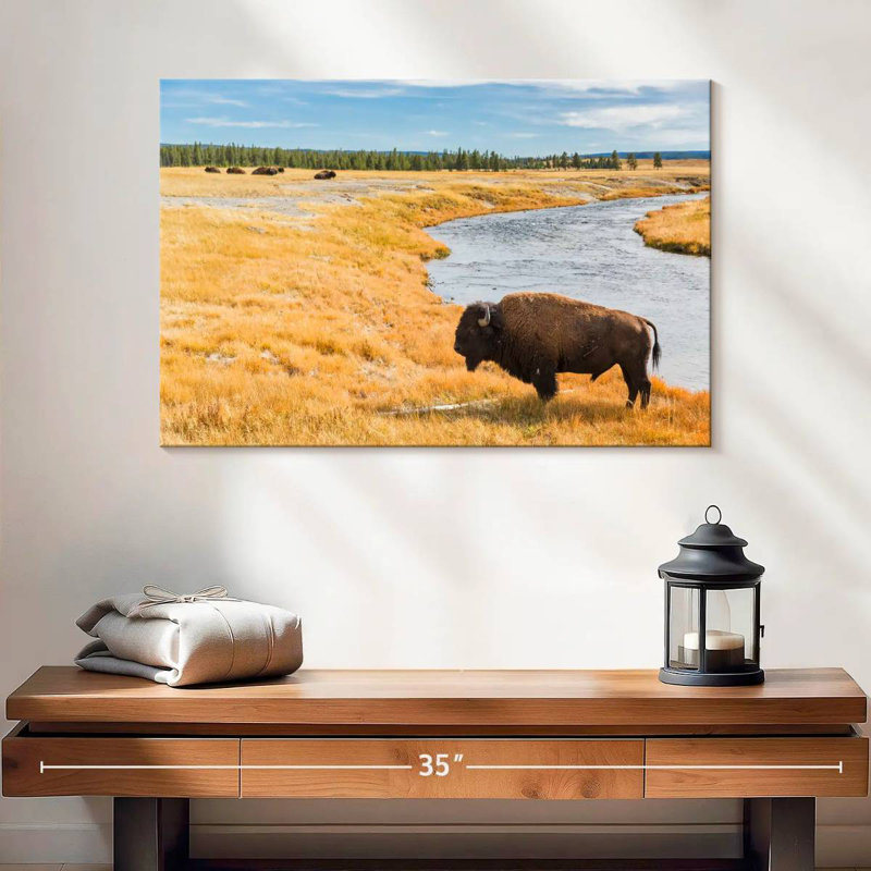 Brampt National Park Bison, 16" H x 24" W