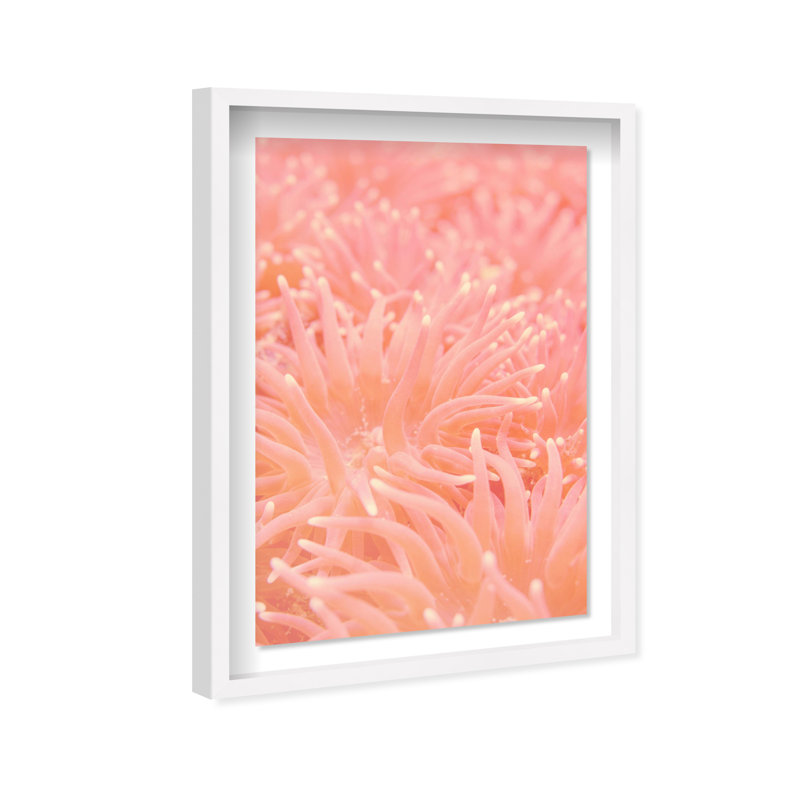 Deep Sea Flowers Shadowbox Nautical & Beach Print by Oliver Gal, Black Frame, 10 x 15, 55.5"H x 37.5"W, White Shadowbox