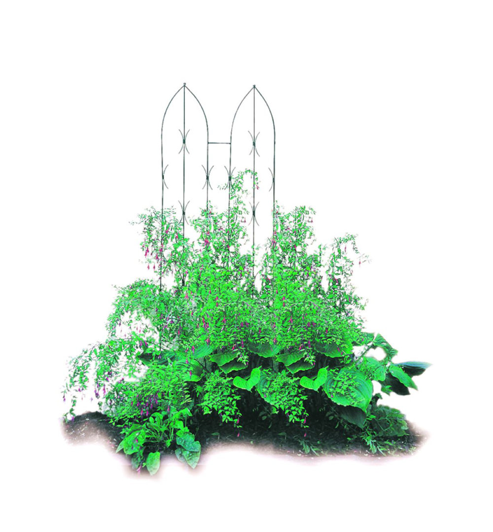 Marblehead 180cm H x 58cm W Gothic Trellis