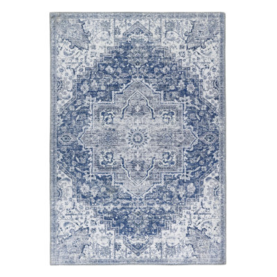 Ashwika Oriental Area Rug