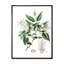 Vintage Botanicals X - peinture sur toile-59814211-59814212