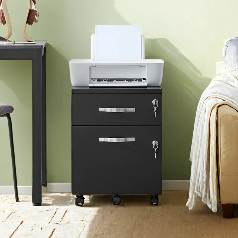 54.4cm Wide 2 -Drawer Mobile File Cabinet