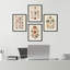 «Old-World Shell Collection», impression thématique maritime encadrée sur papier, 4 pièces-97782604-97782605