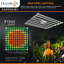 Lumière de croissance à DEL à spectre complet de 150 watts Blume avec chaînette pour plantes d'intérieur