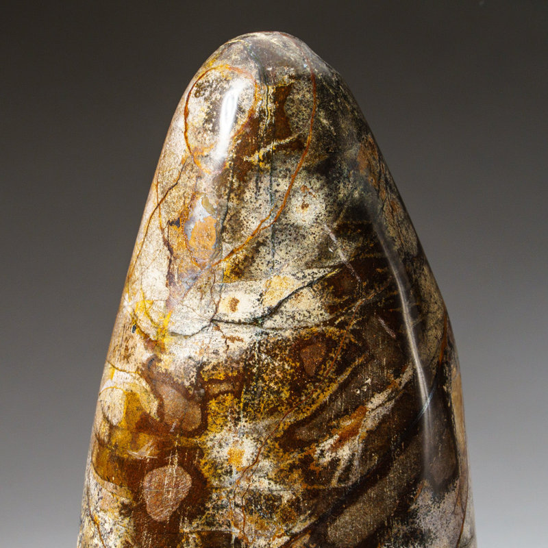 Genuine Fancy Jasper Freeform From Madagascar (3 Lbs)