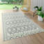 Normanhurst Ikat Area Rug-168815119